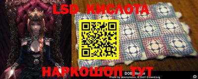 ГАЛЛЮЦИНОГЕННЫЕ ГРИБЫ Малоярославец