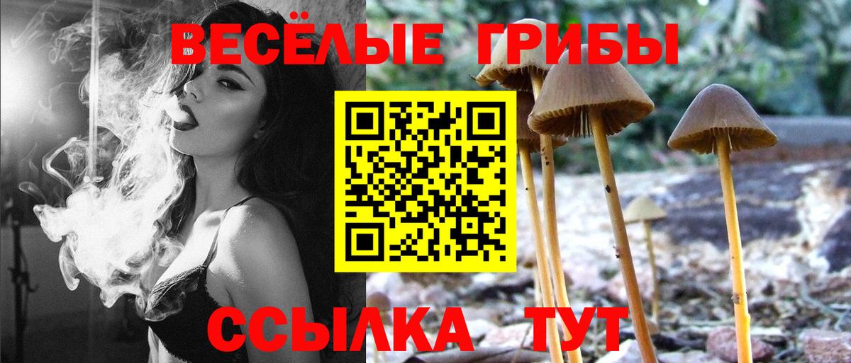 Гатчина  Галлюциногенные грибы мицелий  Псилоцибиновые грибы мухоморы  Вход с VPN 